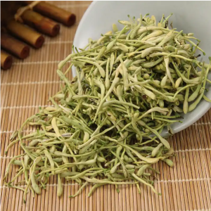 中药材金银花 药用种苗种植基地